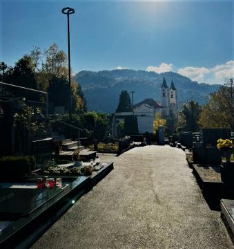Sanacija poti 